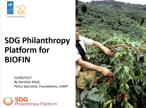 BIOFIN Webinar: Engaging With Foundations For Biodiversity Finance | BIOFIN